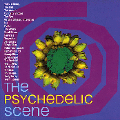 The Psychedelic Scene