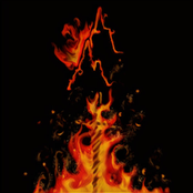 May the Dark Shine Your Way