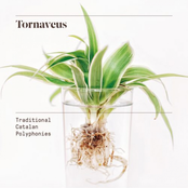 Tornaveus