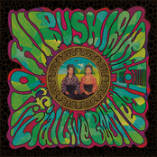 Official Live Bootleg Volume 11