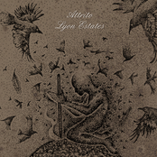 Attrito / Lyon Estates