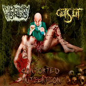 Contorted Mutilation