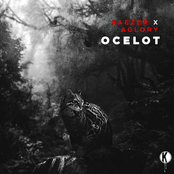 Ocelot