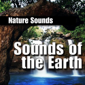 nature sound library