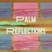 Palm Reflections