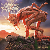 cattle decapitation: Terrasite