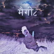 मैगी८