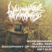 Goregrindesque Flesh Peeling Cacophony Of Headsmashing Metalepsis