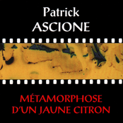 Métamorphose D'Un Jaune Citron