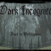 dark incognito