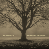 Calm Before The Storm