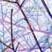 Catching Zinc by Perpetual Loop