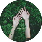 porok prod.