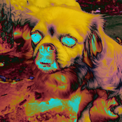 Exotic Erotic Concoction