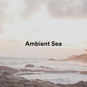 Ambient Sea