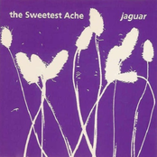 Jaguar by The Sweetest Ache