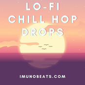 Lo-Fi Chill Hop Drops
