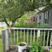 One Day ill Look Back & Finally Feel Content