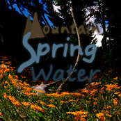 Mountain Spring Water