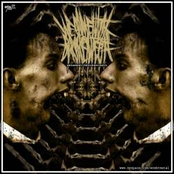 We're Packin, Are You?