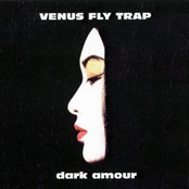 28th March by Venus Fly Trap