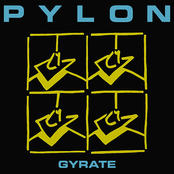 Precaution by Pylon