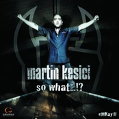 Could Have Been Me by Martin Kesici