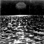 Form in the Fog Beside