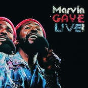 Introduction by Marvin Gaye