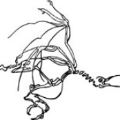 Fernando Tarango Freudian Slip EP