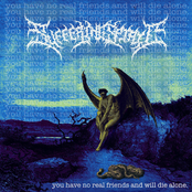 you have no real friends and will die alone.