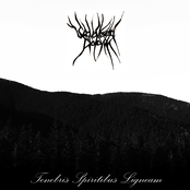 Tenebris Spiritibus Ligneam