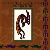 Spirit Feathers