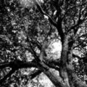 Soul of Man EP (Demos)