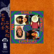 Paul Kidney Japanese Experience