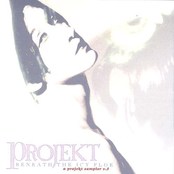 Beneath The Icy Floe, Vol. 5