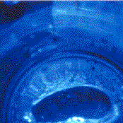 featuring jon keigwin