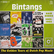 Golden Years Of Dutch Popmusic