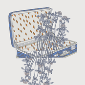 Who Loves You: fall apart with you