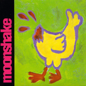 Moonshake: Secondhand Clothes