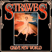 The Strawbs: Grave New World