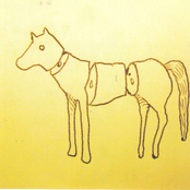 Killing a Dead Horse