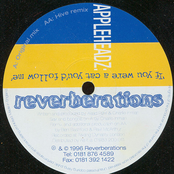 If You Were A Cat You'd Follow Me