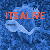 I'm Your Man (feat. Max Martin)