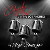 Algo Contigo