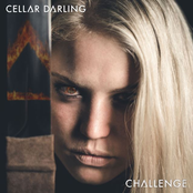 Cellar Darling: Challenge