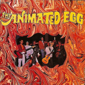 The Animated Egg