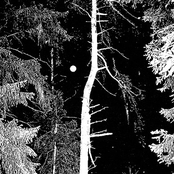 In Death's Midst... Vol.1