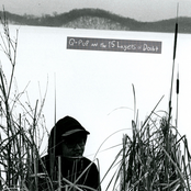 Q-Pup and the 15 Layers of Doubt