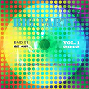 Big Party Manele, Vol. 1